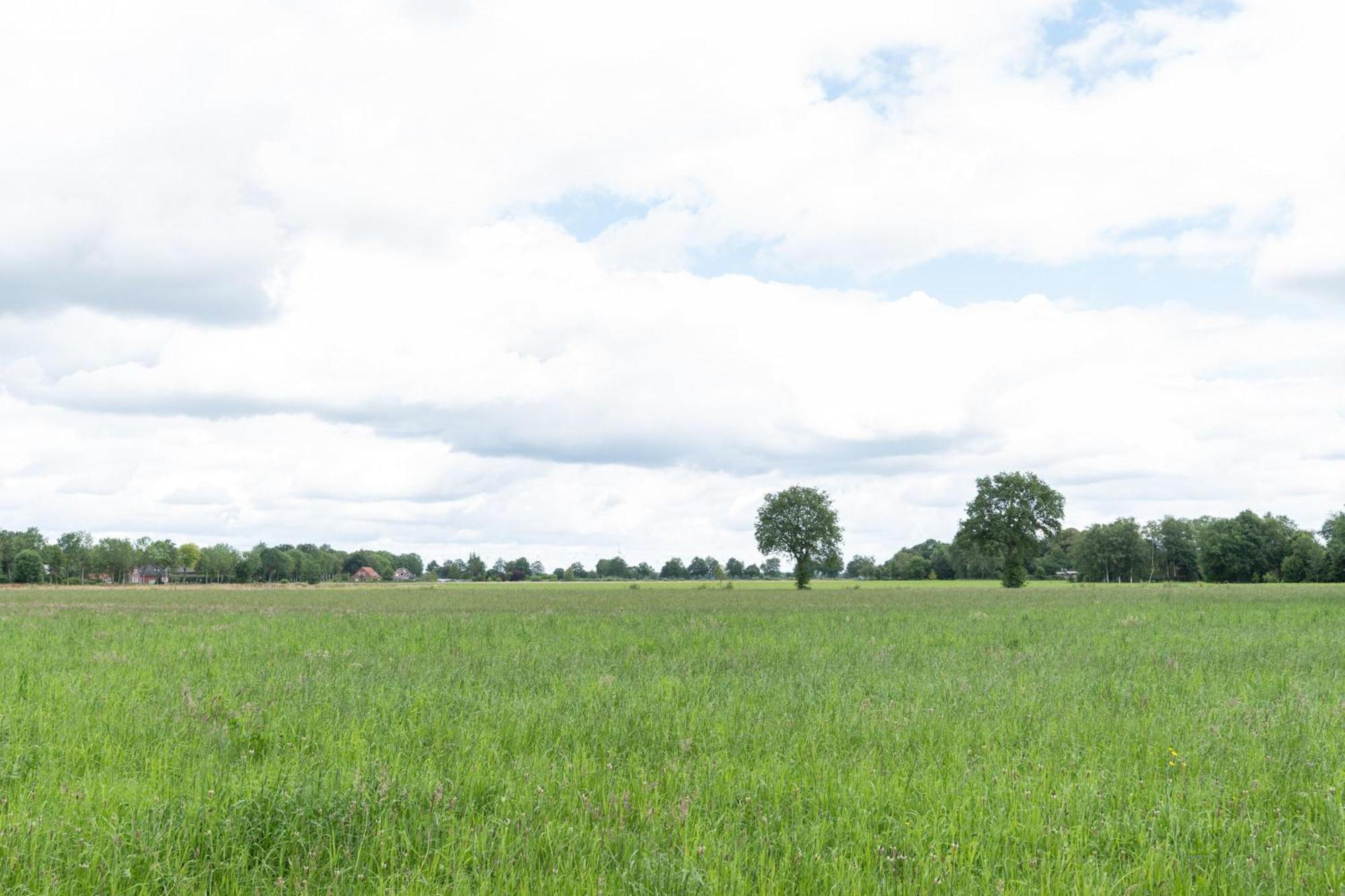 Landleben 35195